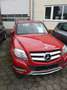 Mercedes-Benz GLK 220 GLK 220 CDI 4Matic (BlueEFFICIENCY) 7G-TRONIC Rot - thumbnail 4