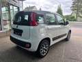 Fiat Panda 1,2 70 Lounge Weiß - thumbnail 4