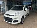Fiat Panda 1,2 70 Lounge Weiß - thumbnail 1