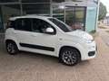 Fiat Panda 1,2 70 Lounge Weiß - thumbnail 10