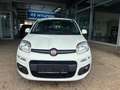 Fiat Panda 1,2 70 Lounge Weiß - thumbnail 2