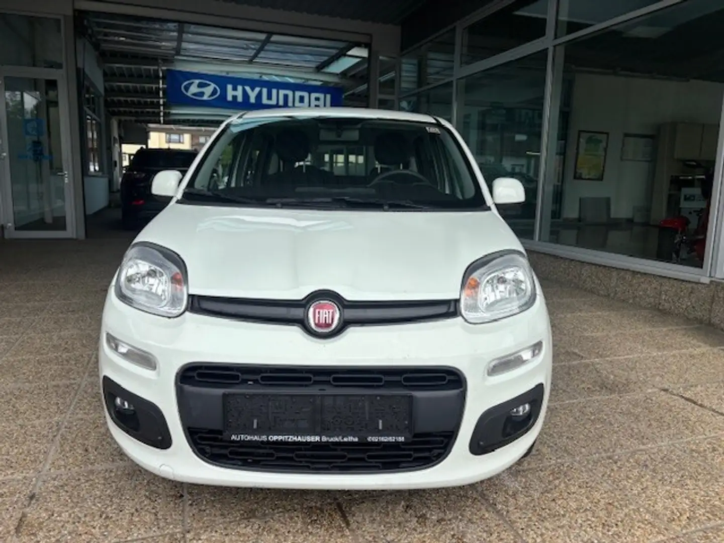 Fiat Panda 1,2 70 Lounge Weiß - 2