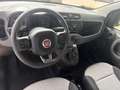 Fiat Panda 1,2 70 Lounge Weiß - thumbnail 9