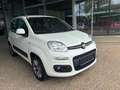 Fiat Panda 1,2 70 Lounge Weiß - thumbnail 3