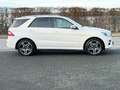 Mercedes-Benz ML 350 CDI BT AMG Line NightVision-ILS-Kamera-E6 Weiß - thumbnail 5