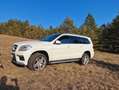 Mercedes-Benz GL 500 GL 500 BlueEfficiency 4Matic *VERMITTLUNGSINSERAT* Biały - thumbnail 4
