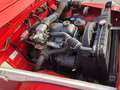 Fiat Campagnola FIat Campagnola Rot - thumbnail 20