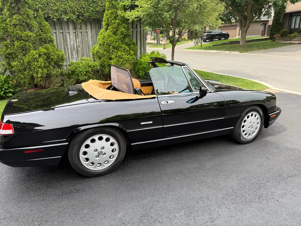1991 Alfa Romeo Spider