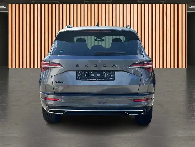 Skoda Karoq view 26