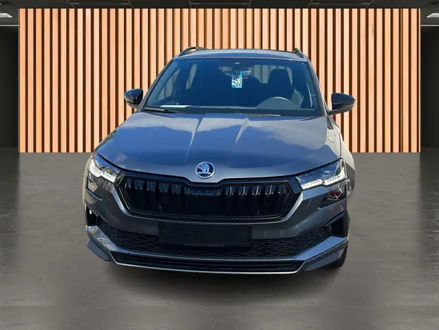 Skoda Karoq view 23