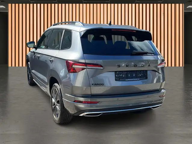 Skoda Karoq view 4