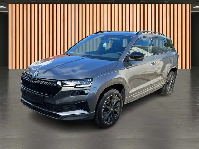 Skoda Karoq view 2