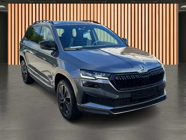 Skoda Karoq view 24