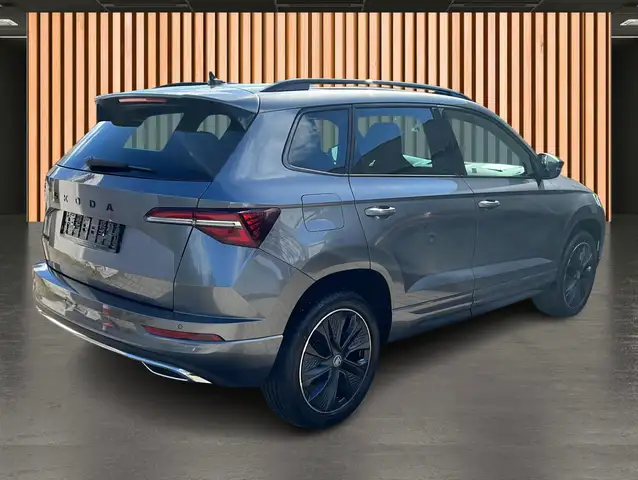 Skoda Karoq view 25