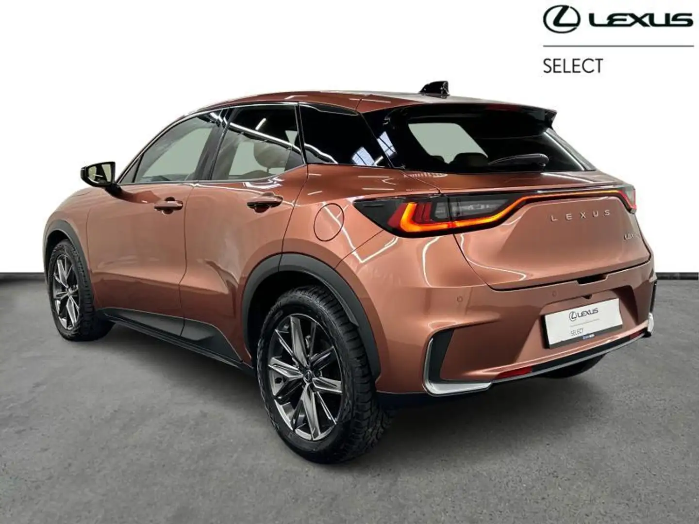 Lexus LBX Relax Marrón - 2