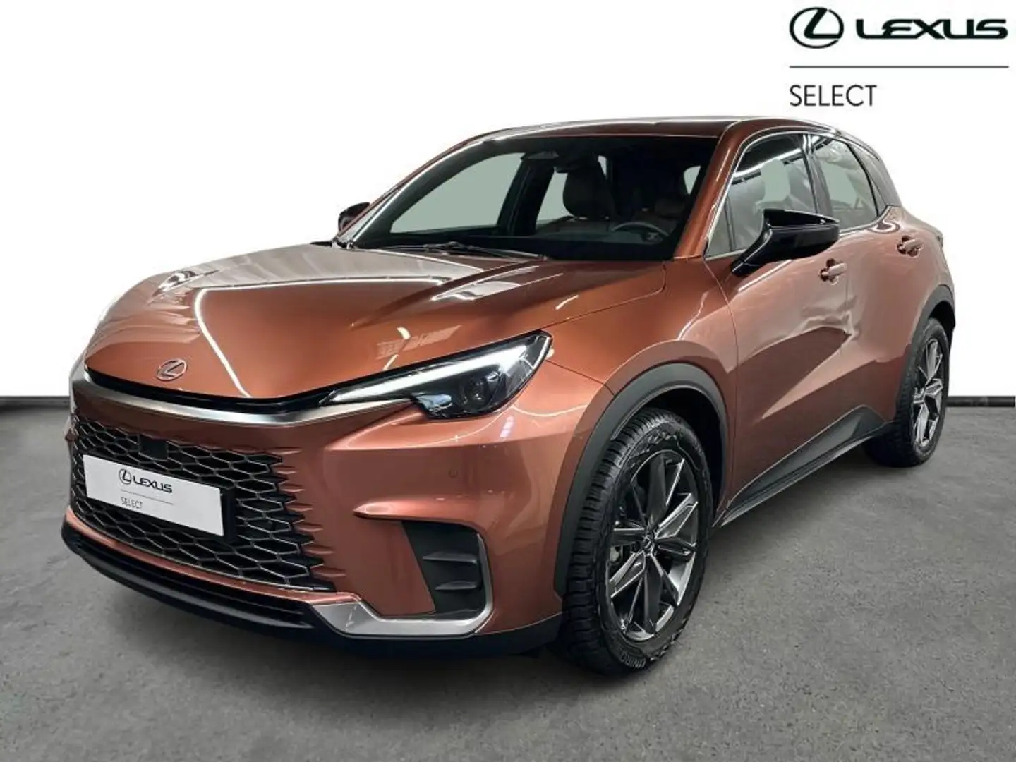 Lexus LBX Relax Marrón - 1