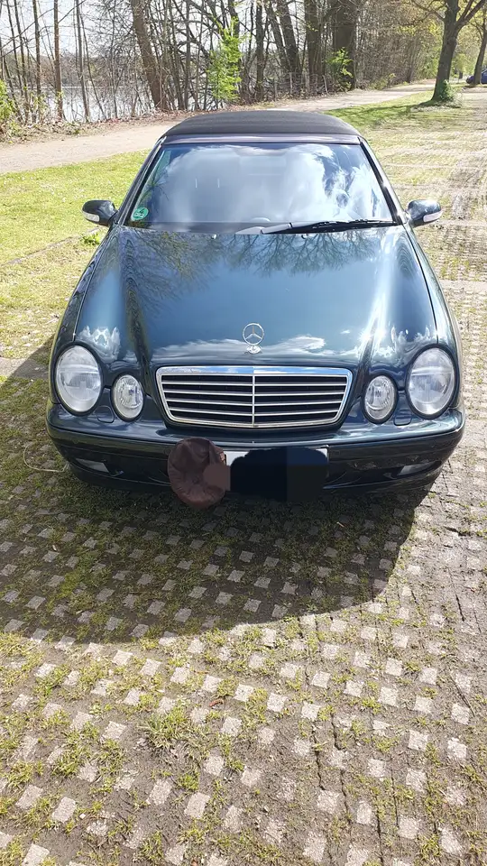 Mercedes-Benz CLK 430 CLK-Klasse V8 Cabrio Unikat Designo Gruen, Autogas, foto 12