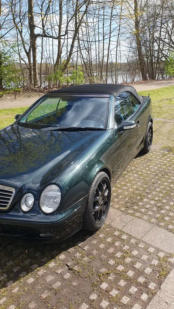 Mercedes-Benz CLK 430 CLK-Klasse V8 Cabrio Unikat Designo Gruen, Gas möglich Grün - 2