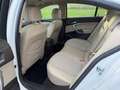 Opel Insignia 2.0CDTI ecoF. S&S Excellence 140 Weiß - thumbnail 3