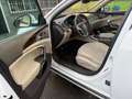 Opel Insignia 2.0CDTI ecoF. S&S Excellence 140 Weiß - thumbnail 2