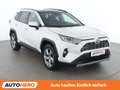 Toyota RAV 4 2.5 Hybrid 4x4 Vip Weiß - thumbnail 8