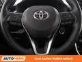 Toyota RAV 4 2.5 Hybrid 4x4 Vip Weiß - thumbnail 19