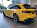 Audi RS4 Avant 470CV Tiptronic '25 Year Edition' Amarillo - thumbnail 6
