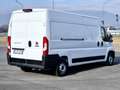 Fiat Ducato Ducato l3h2 2.2 140cv - thumbnail 3
