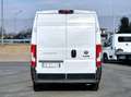 Fiat Ducato Ducato l3h2 2.2 140cv - thumbnail 13