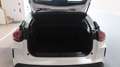 Citroen C4 C4 PureTech 130 S&S Feel #RETRO CAMERA#CARPLAY# Bianco - thumbnail 17