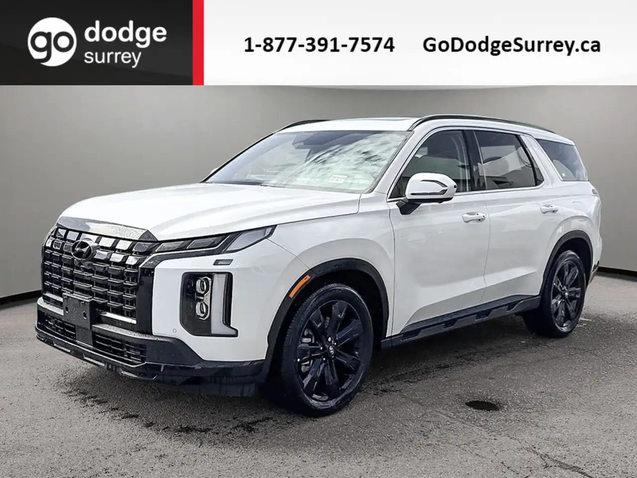 Hyundai PALISADE photo Hyundai PALISADE