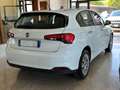 Fiat Tipo 1.3 M.JET 95 cv. 5 porte EASY Bianco - thumbnail 4