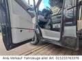 Mercedes-Benz Sprinter II Pritsche /313 CDI Ladebordwand Schwarz - thumbnail 22