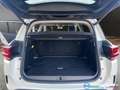 Citroen C5 Aircross 1.5 BlueHDi 130 CV S&S EAT8 Shine PREZZO REALE Weiß - thumbnail 13