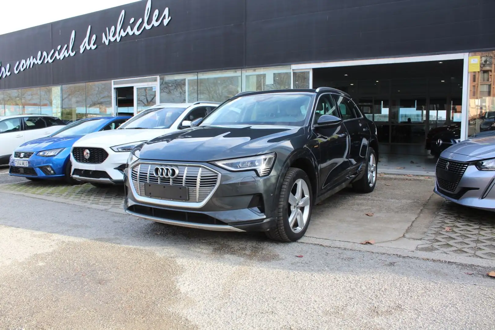 Audi e-tron 55 quattro Advanced Gris - 1