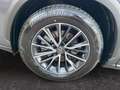 Lexus NX 350h E-FOUR Executive Line *Bi-LED*HUD*360*ACC* Grau - thumbnail 18