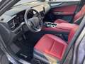Lexus NX 350h E-FOUR Executive Line *Bi-LED*HUD*360*ACC* Grau - thumbnail 9