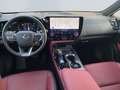 Lexus NX 350h E-FOUR Executive Line *Bi-LED*HUD*360*ACC* Grau - thumbnail 12