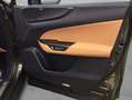 Lexus NX350h 4x4 Luxury Line + Panorama Modell2026 Grün - thumbnail 12