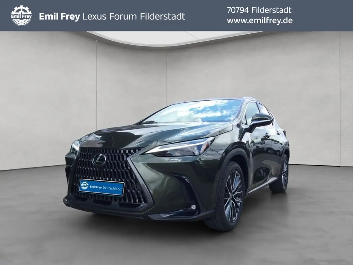 Lexus NX350h 4x4 Luxury Line + Panorama Modell2026 Grün - 1