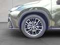 Lexus NX350h 4x4 Luxury Line + Panorama Modell2026 Grün - thumbnail 14