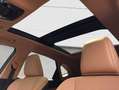 Lexus NX350h 4x4 Luxury Line + Panorama Modell2026 Grün - thumbnail 8