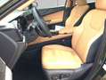 Lexus NX350h 4x4 Luxury Line + Panorama Modell2026 Grün - thumbnail 5