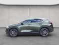 Lexus NX350h 4x4 Luxury Line + Panorama Modell2026 Grün - thumbnail 2