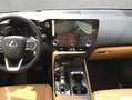 Lexus NX350h 4x4 Luxury Line + Panorama Modell2026 Grün - thumbnail 6