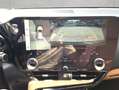 Lexus NX350h 4x4 Luxury Line + Panorama Modell2026 Grün - thumbnail 7