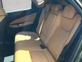 Lexus NX350h 4x4 Luxury Line + Panorama Modell2026 Grün - thumbnail 10