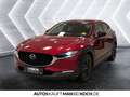 Mazda CX-30 2.0 L M. HYBRID 6GS Homura LED Navi Klima Rot - thumbnail 3