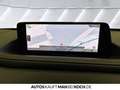 Mazda CX-30 2.0 L M. HYBRID 6GS Homura LED Navi Klima Rot - thumbnail 13
