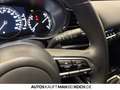 Mazda CX-30 2.0 L M. HYBRID 6GS Homura LED Navi Klima Rot - thumbnail 19